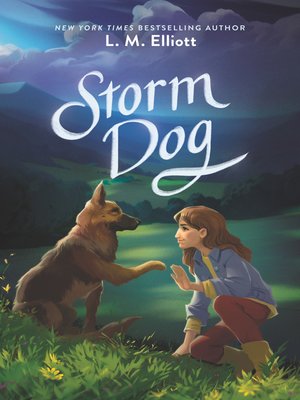 cover image of Storm Dog
